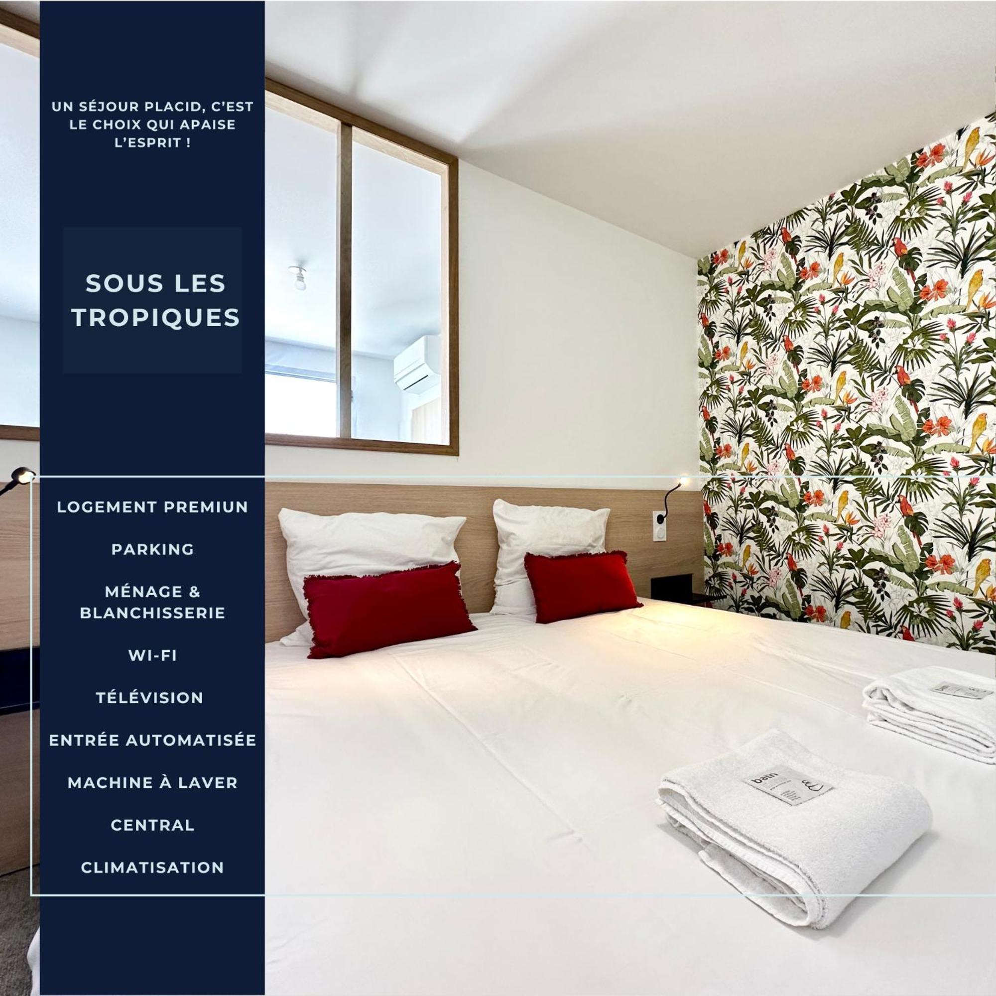 Sous Les Tropiques - Clim - Parking - Apartment